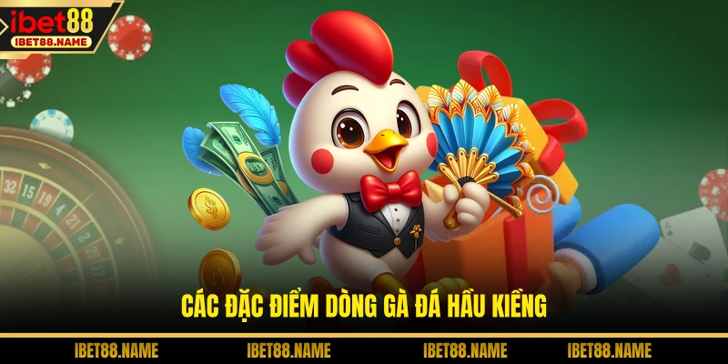 Các đặc điểm dòng gà đá hầu kiềng