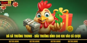 Đá Gà Trường Thomo - Đấu Trường Đỉnh Cao Khi Vào Cá Cược