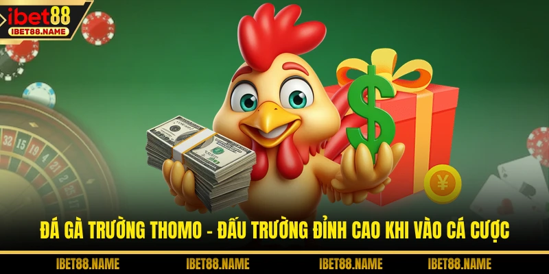 Đá Gà Trường Thomo - Đấu Trường Đỉnh Cao Khi Vào Cá Cược