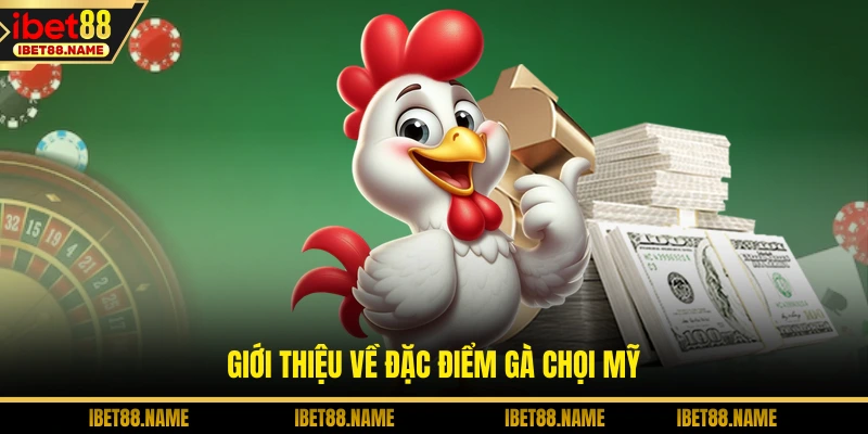 Giới thiệu về đặc điểm gà chọi Mỹ