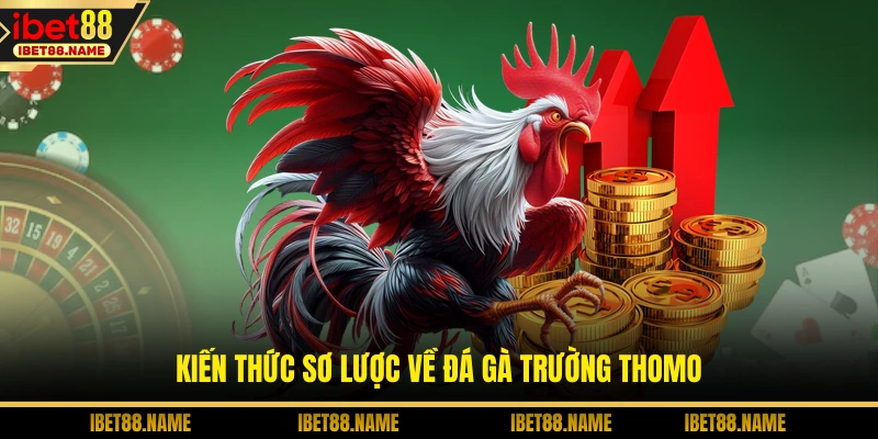 Đá Gà Trường Thomo - Đấu Trường Đỉnh Cao Khi Vào Cá Cược 1 Kiến thức sơ lược về đá gà trường Thomo