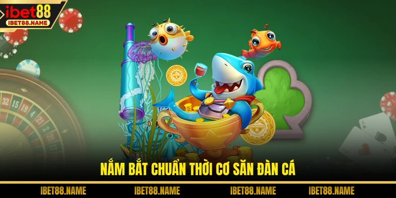 Nắm bắt chuẩn thời cơ săn đàn cá