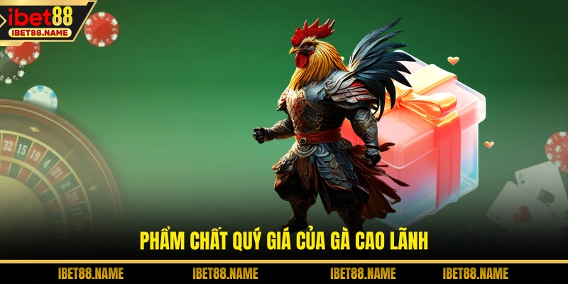 Phẩm chất quý giá của gà Cao Lãnh