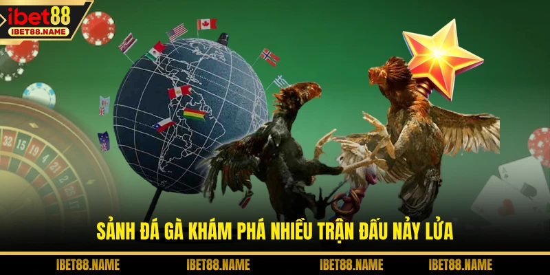 Sảnh đá gà khám phá nhiều trận đấu nảy lửa