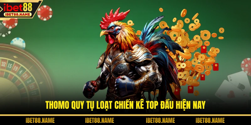 Thomo quy tụ loạt chiến kê top đầu hiện nay