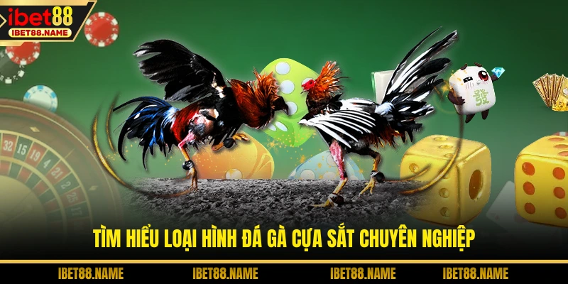 Tìm hiểu loại hình đá gà cựa sắt chuyên nghiệp