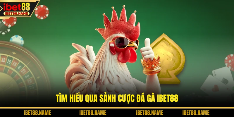 Tìm hiểu qua sảnh cược đá gà IBET88